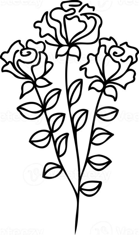 Line art flowers Drawing. Black Sketch of botanical design. PNG with transparent background ...