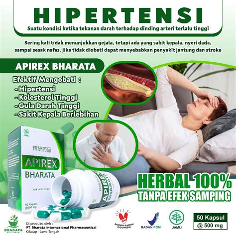 Jual Obat Hipertensi Obat Darah Tinggi Herbal Ampuh Apirex