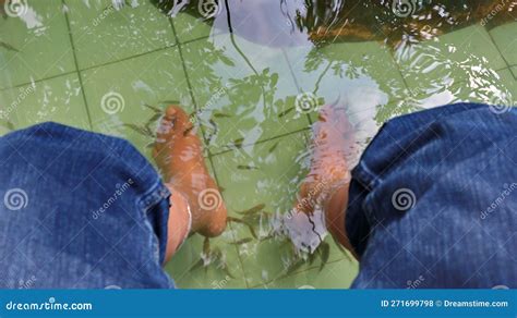 Spa De Pescado Pedicura Wellness Tratamiento De La Piel Con Peces Rifa