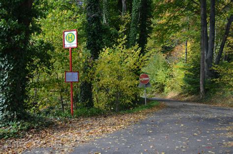 Haltestelle Gaistal Spechtschmiede Schwarzwald Tourismus Gmbh