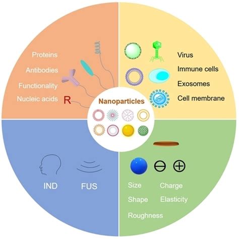 Advances In Brain Delivery Systems Based On Biomimetic Nanoparticles