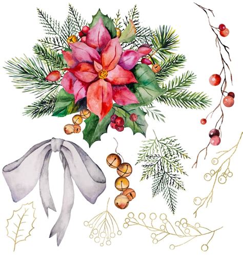 Ilustraci N De Acuarela De Navidad Con Flores De Pascua Ramas De Abeto