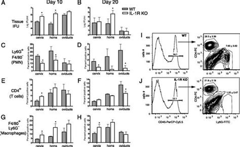 Significant Role Of Il 1 Signaling But Limited Role Of Inflammasome