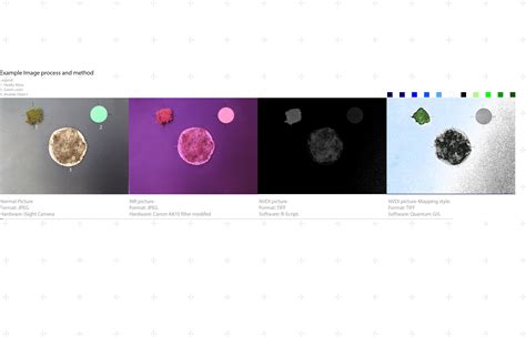 Bcs Bio Ceramic System Iaac Blog