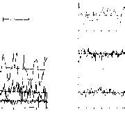 Kinetics Of Agonist Induced Intrinsic Fluorescence Changes In The