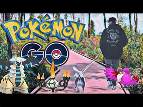 Pokémon Go Shining Experience Litwick Murkrow Giratina Evolutions