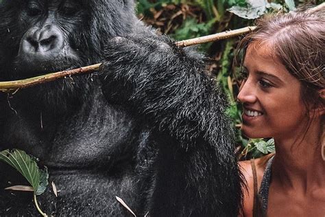 Tripadvisor De Kigali Viagem De Um Dia De Horas Em Ruanda Gorilla