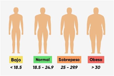 Imc Qu Es F Rmula Calculadora Y Resultados Tua Sa De