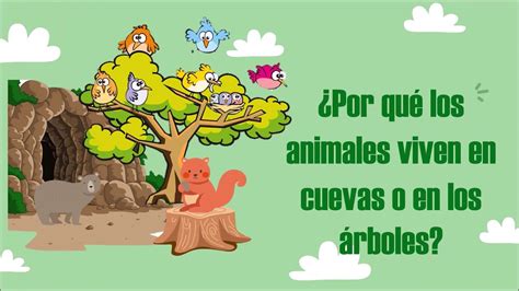 Details 48 Animales Que Viven En Los árboles Abzlocalmx