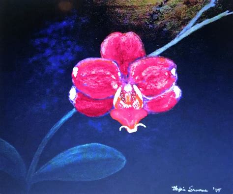 Orchid Digital Art By Majaia Summers Fine Art America