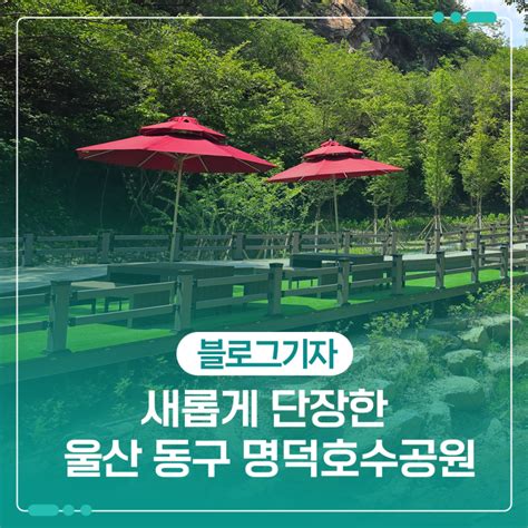 새롭게 단장한 울산 동구 명덕호수공원 울산광역시 웰로