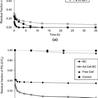 Methodology For Cell Immobilization By A Adsorption Method B Covalent