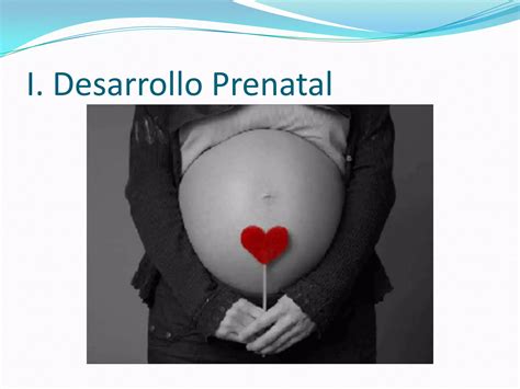 Desarrollo Del Ciclo Vital Psicologia General Ppt Descarga Gratuita