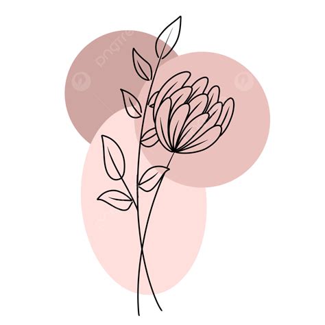 Dessin Au Trait Esthétique Fleur Simple PNG Esthétique De La Fleur