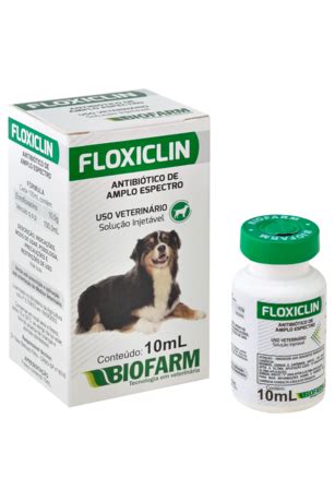 Antibi Tico De Amplo Espectro Floxiclin Para C Es E Gatos Ml Uso