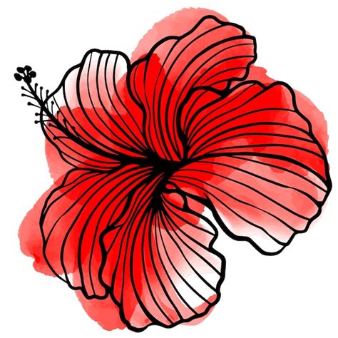 Premium Vector Vector Illustration Of Red Hibiscus Flower