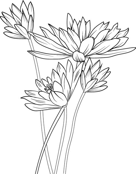 Easy Flowers Art Hand Drawing Illustration Sketch Contour Bouquet Of