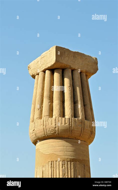 Colonna Papiriforme Chiusa Immagini E Fotografie Stock Ad Alta Risoluzione Alamy