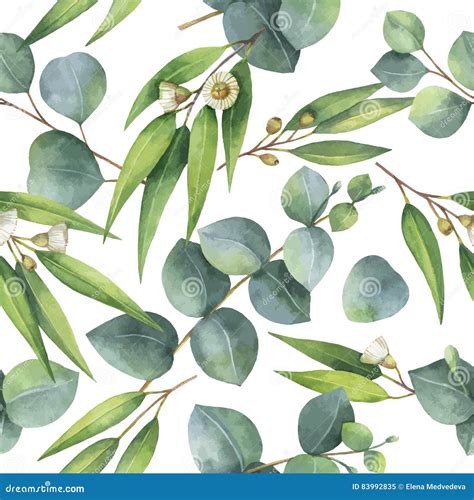 Watercolor Vector Seamless Pattern With Eucalyptus Leaves And Branches