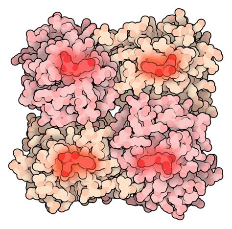 PDB 101 Molecule Of The Month GFP Like Proteins