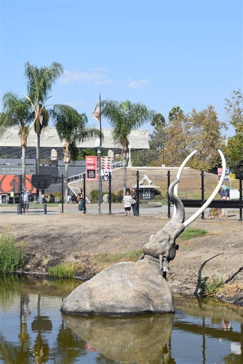 La Brea Tar Pits Museum Downtown Los Angeles Near Hollywood Editorial