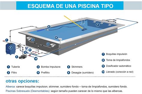 Azotado Por El Viento Jane Austen Posicionar Partes De Una Piscina Giro