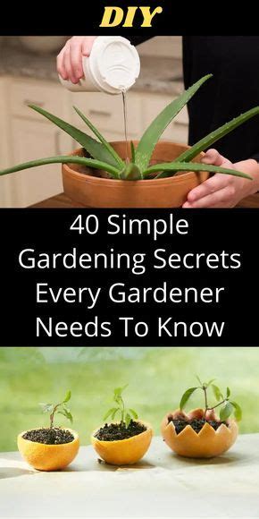 Best Kept Gardening Secrets Every Serious Gardener Ought To Know In