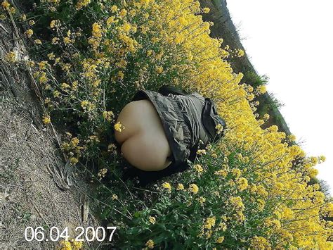 Asian Mature Milf 6 A 606 Porn Pic