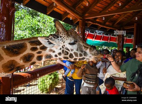 Nairobikenya December 12th 2019 A Group Of Kenyans Celebrate