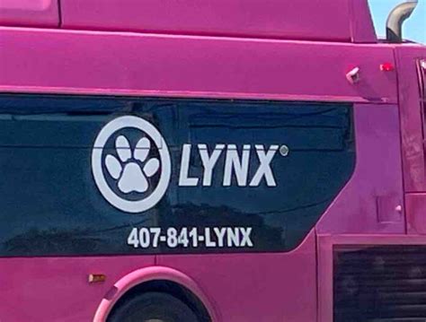 Lynx bus hits, critically injures pedestrian near downtown Orlando ...