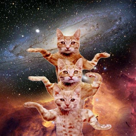 Cats In Space Blank Template Imgflip