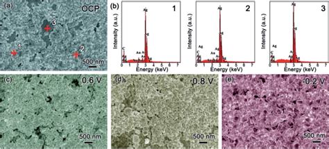 Characterization To The T Ag Sample A Sem Image At Ocp And B Eds