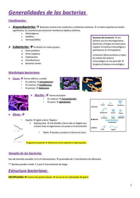 Generalidades De Las Bacterias Se Caracteriza Por Presentar Membranas