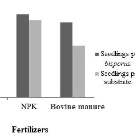 Tomato Production With The Use Of Different Fertilizers From Seedlings Download Scientific