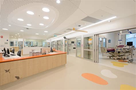 picu information