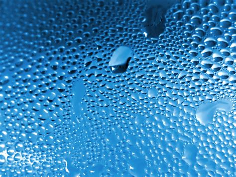 Macro Shot Of Condensation Droplets On A Blue Background Free Stock