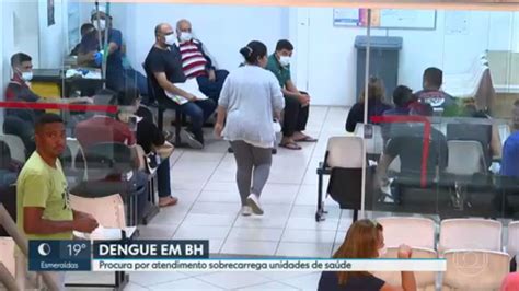 Vídeo Belo Horizonte registra mais de 1 300 casos de dengue em uma