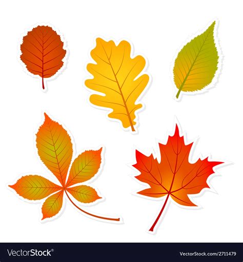 Autumn leaves stickers Royalty Free Vector Image