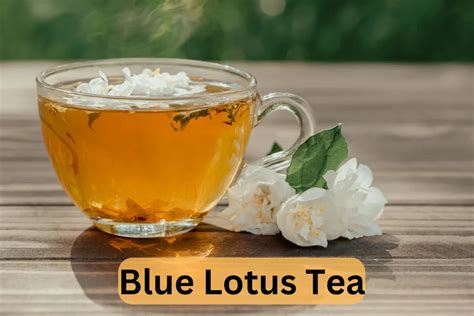 Blue Lotus Tea