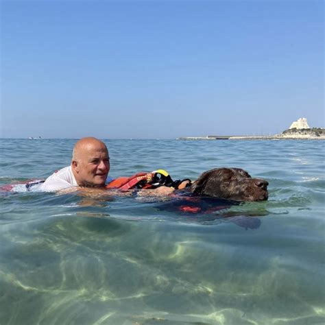 I Cani Bagnino Tornano In Spiaggia Ogni Anno Nel Lazio Salvano