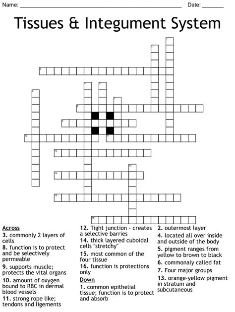 Tissues Integument System Crossword WordMint