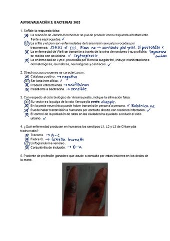 Autoevaluaci N Bacterias Con Respuestas Explicadas Pdf