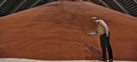 Brazil Potash Amaggi Sign Offtake And Marketing Agreements For Amazon