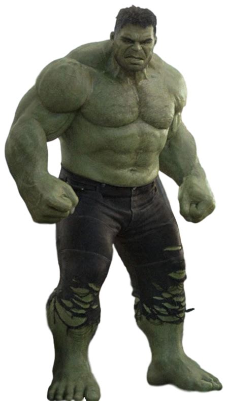 Hulk Png Transparent Image Download Size 447x791px