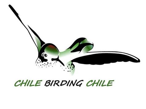 2024年 Chile Birding Chile 出発前に知っておくべきことすべて トリップアドバイザー