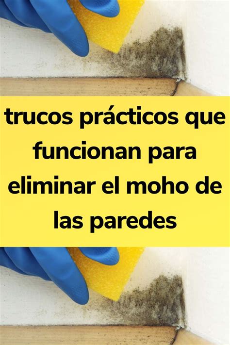 Trucos Pr Cticos Que Funcionan Para Eliminar El Moho De Las Paredes