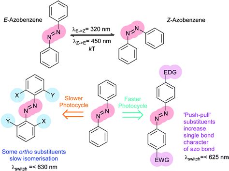 Azobenzene Photocontrol Of Peptides And Proteins Chemical