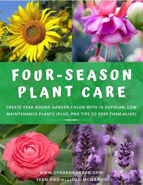 Four-Season Gardening - Spoken Garden