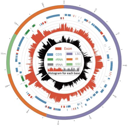 Next Generation Sequencing Ngs Bio Basic Asia Pacific Pte Ltd