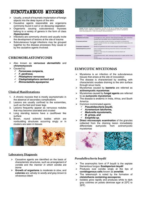 Solution Subcutaneous Mycoses Studypool